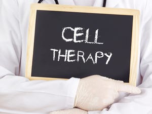 JW partners with 2seventy to develop T Cell immunotherapies
