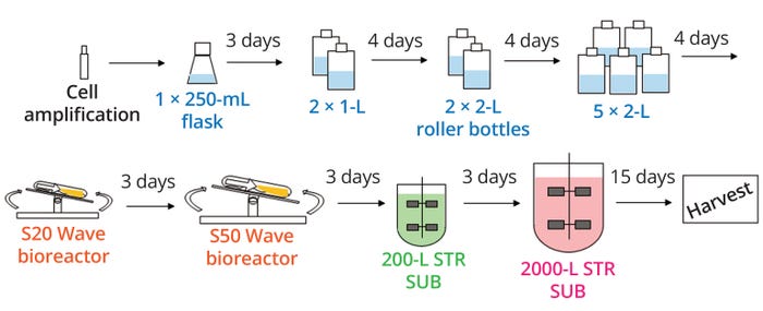 23-1-2-Nogal-F1.jpg 23-1-2-Nogal-F1.jpg