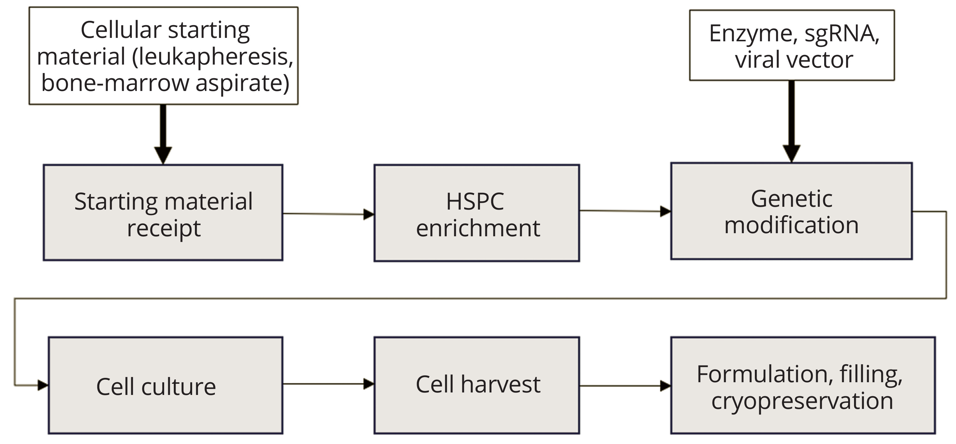 Gene-Modified Hematopoietic Stem and Progenitor Cell Therapies