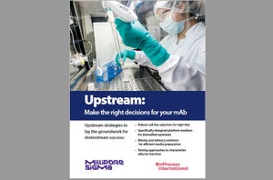 Upstream: Make the Right Decisions for Your mAb