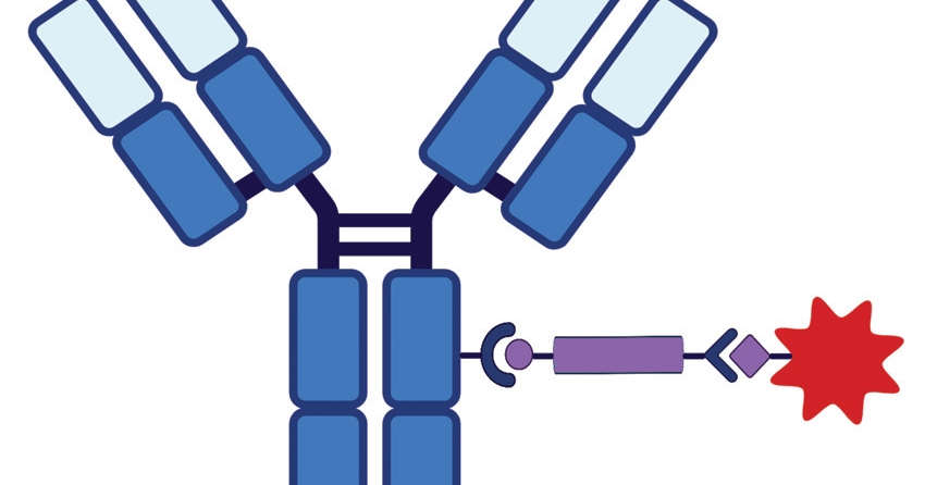 Antibody–Drug Conjugate Manufacturing Challenges - BioProcess International