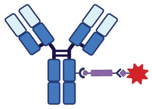 Manufacturing Challenges of Therapeutic Antibody–Drug Conjugates