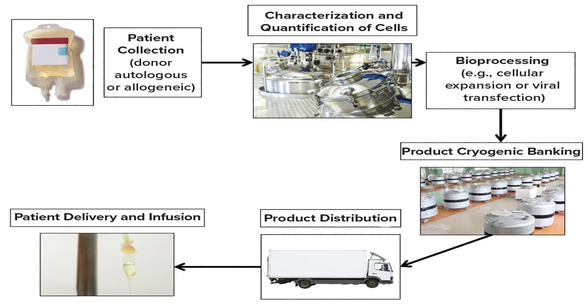 A Perspective on GMPs for Cell Therapy Commercialization - BioProcess ...