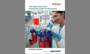 Cell Culture Scale-Up in Stirred-Tank Single-Use Bioreactors