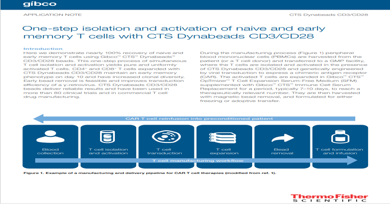 One-step isolation and activation of naïve and early memory T cells ...