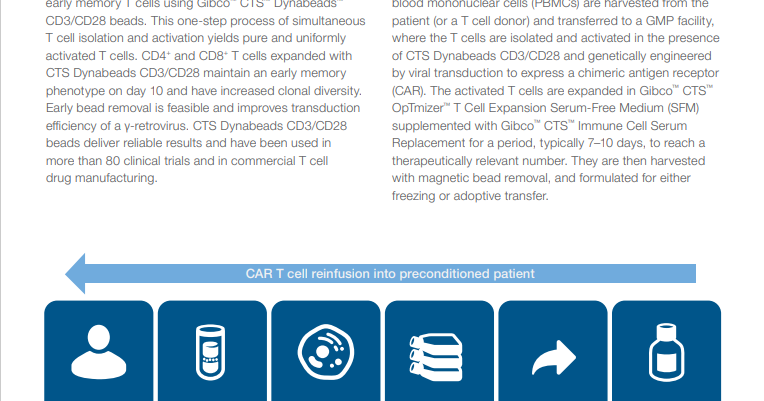 One-step isolation and activation of naïve and early memory T cells ...
