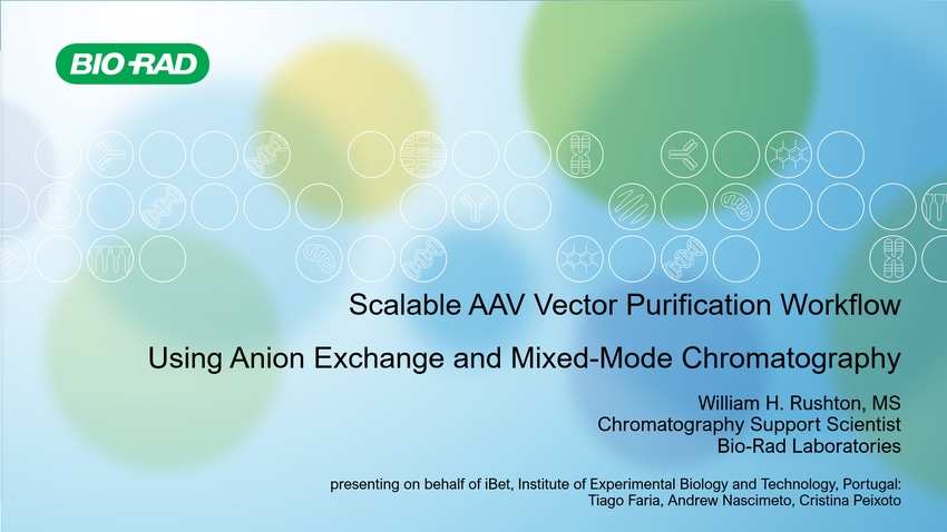Scalable AAV Vector Purification Workflow Using AEX and Mixed-Mode Chromatography