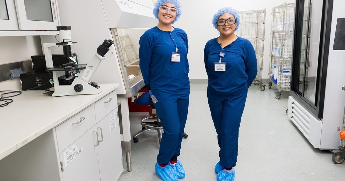 In St. Jude Using Computer St. Jude workers gain GMP experience, advance pediatric care