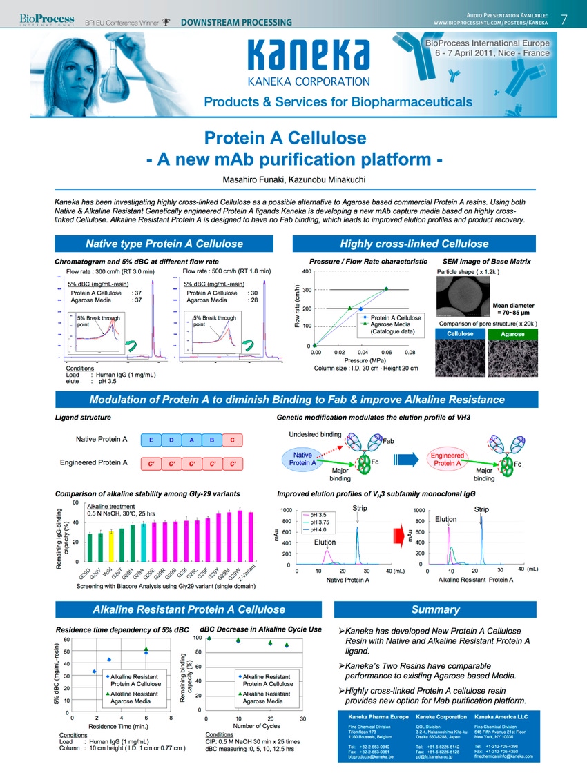 Protein A Cellulose, a new mAb purification platform