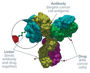 Building Toward Antibody–Drug Conjugate Success