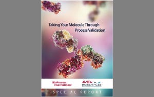Taking Your Molecule Through Process Validation