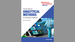The Key Role of Analytical Methods in Technology Transfer