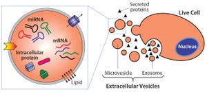 Extracellular Vesicles Commercial Potential As Byproducts of Cell Manufacturing for Research and Therapeutic Use