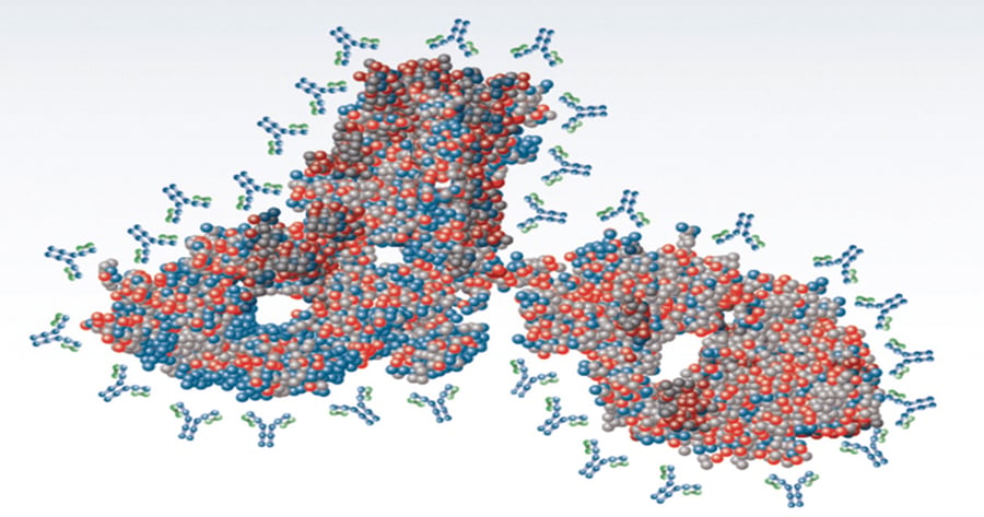 Higher-Order Structure Comparability: Case Studies of Biosimilar ...