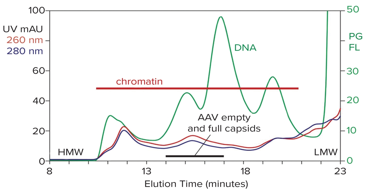 Purification of AAV: Streamlining the Process - BioProcess International