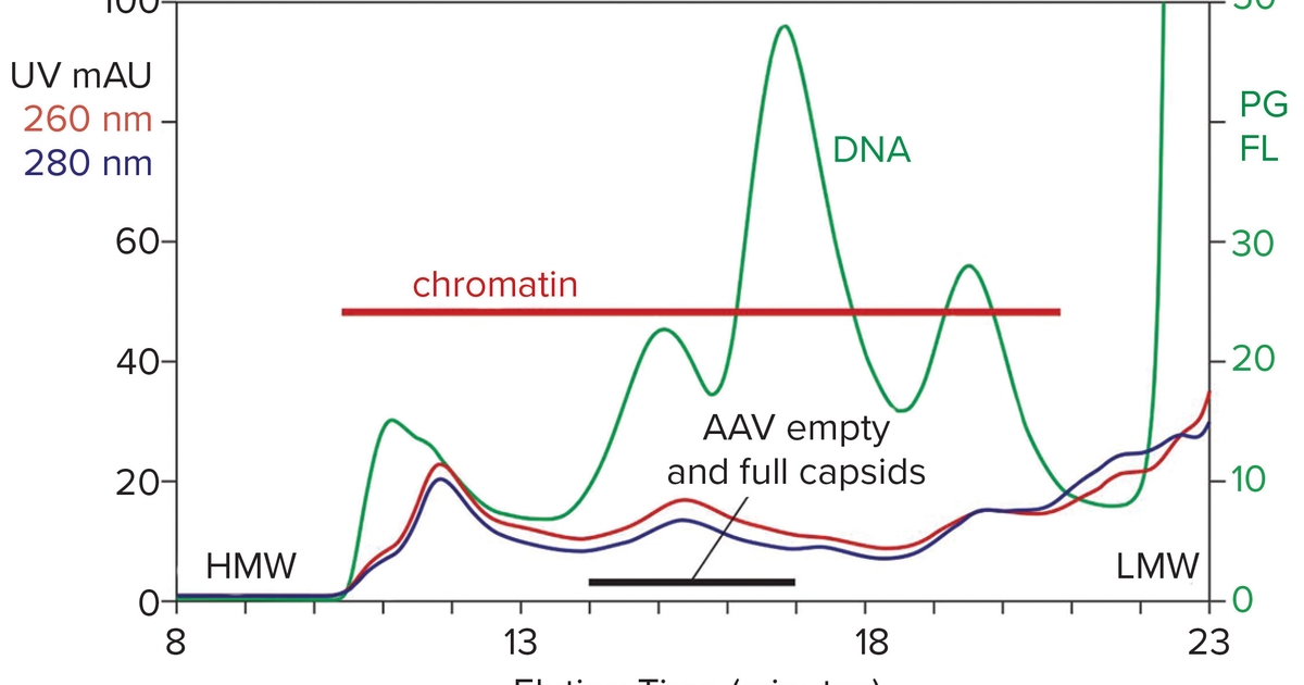 Purification of AAV: Streamlining the Process - BioProcess International