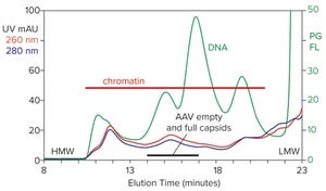 Streamlining Industrial Purification of Adeno-Associated Virus