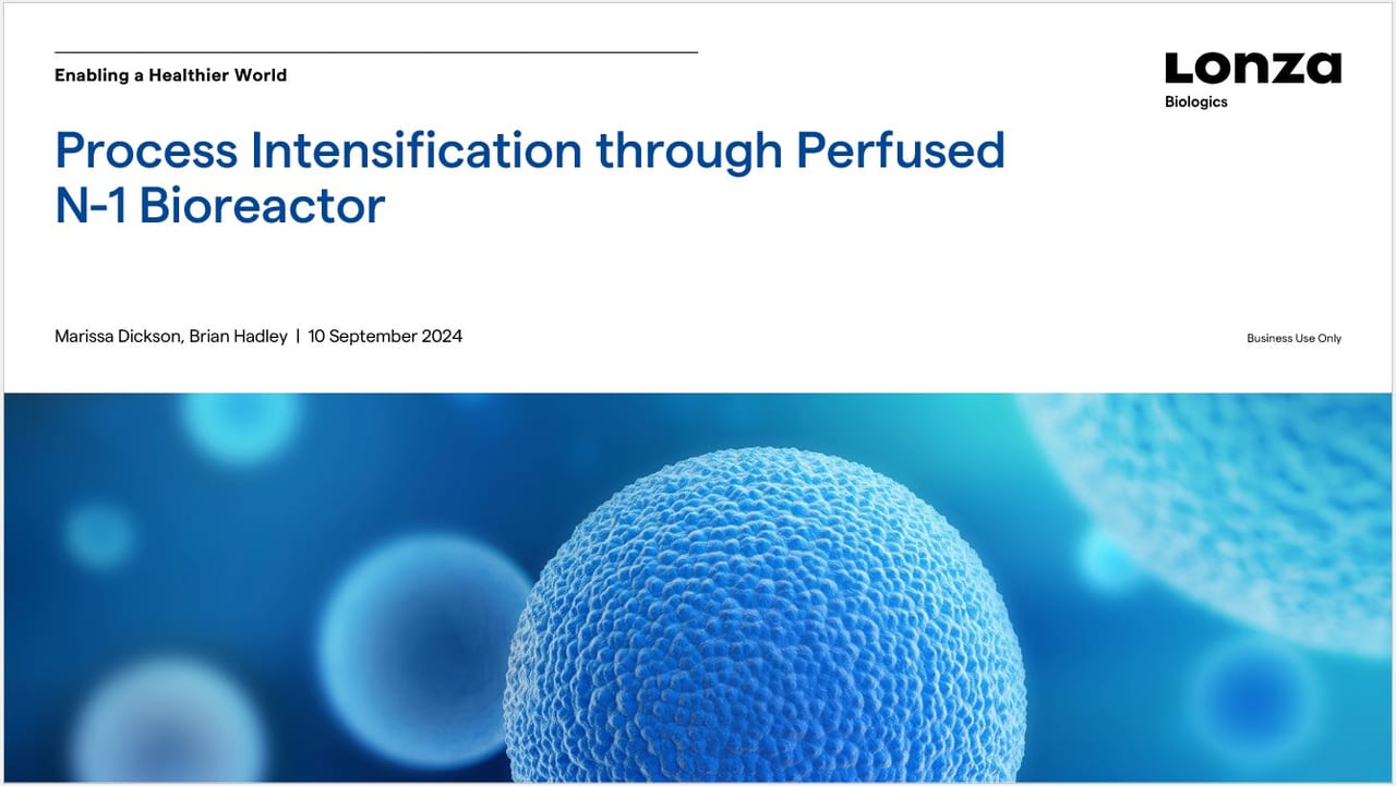 Process Intensification Through Perfused N-1 Bioreactor