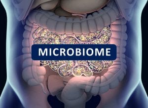 microbiome-ChrisChrisW-300x220.jpg
