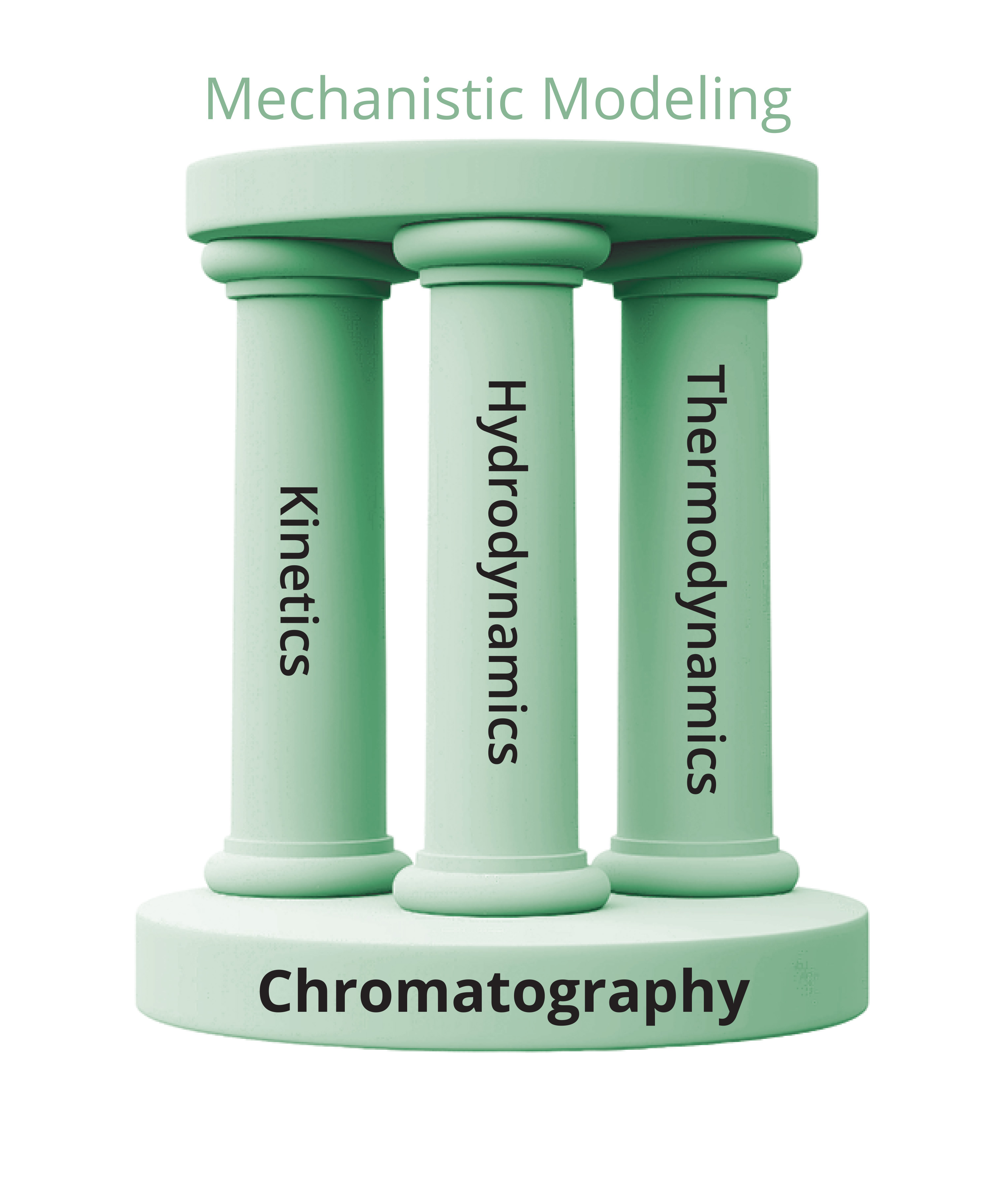 Mechanistic Modeling of Oligonucleotide Purification