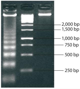 BPI_A_141201AR04_O_231156b.jpg