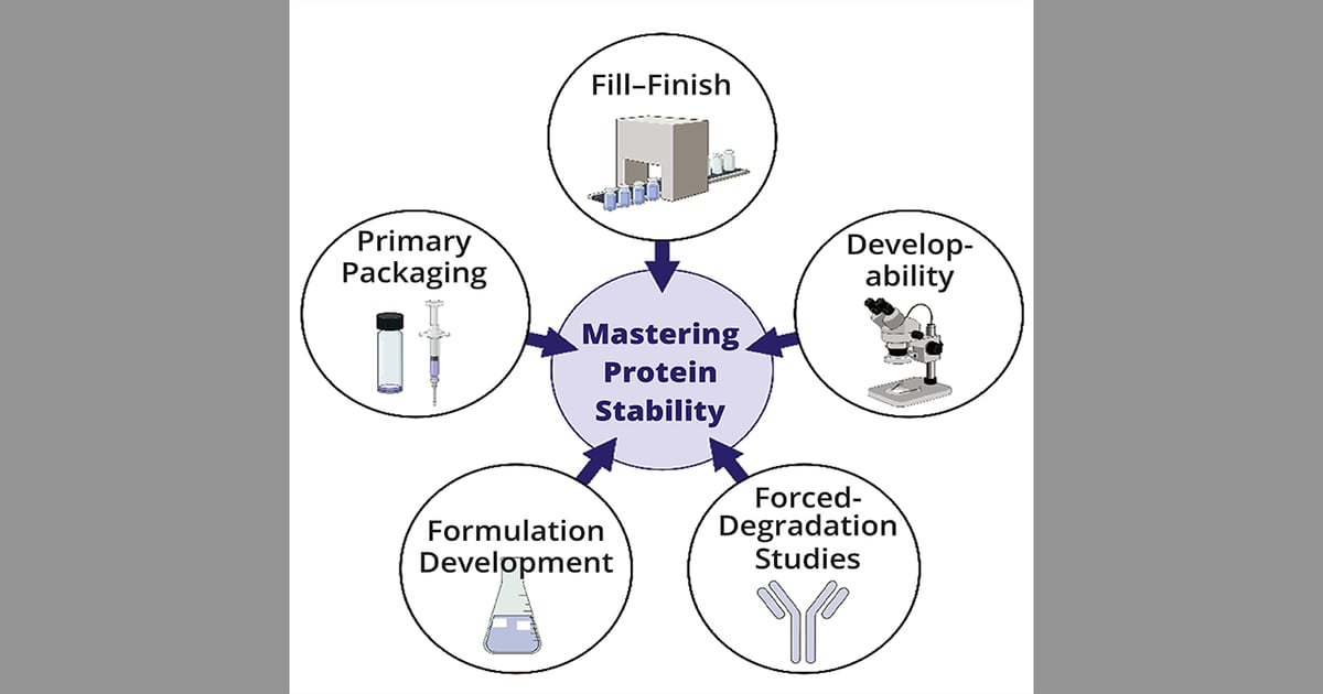 Mastering Protein Stability in Injectable Biopharmaceuticals: Five Keys to Success