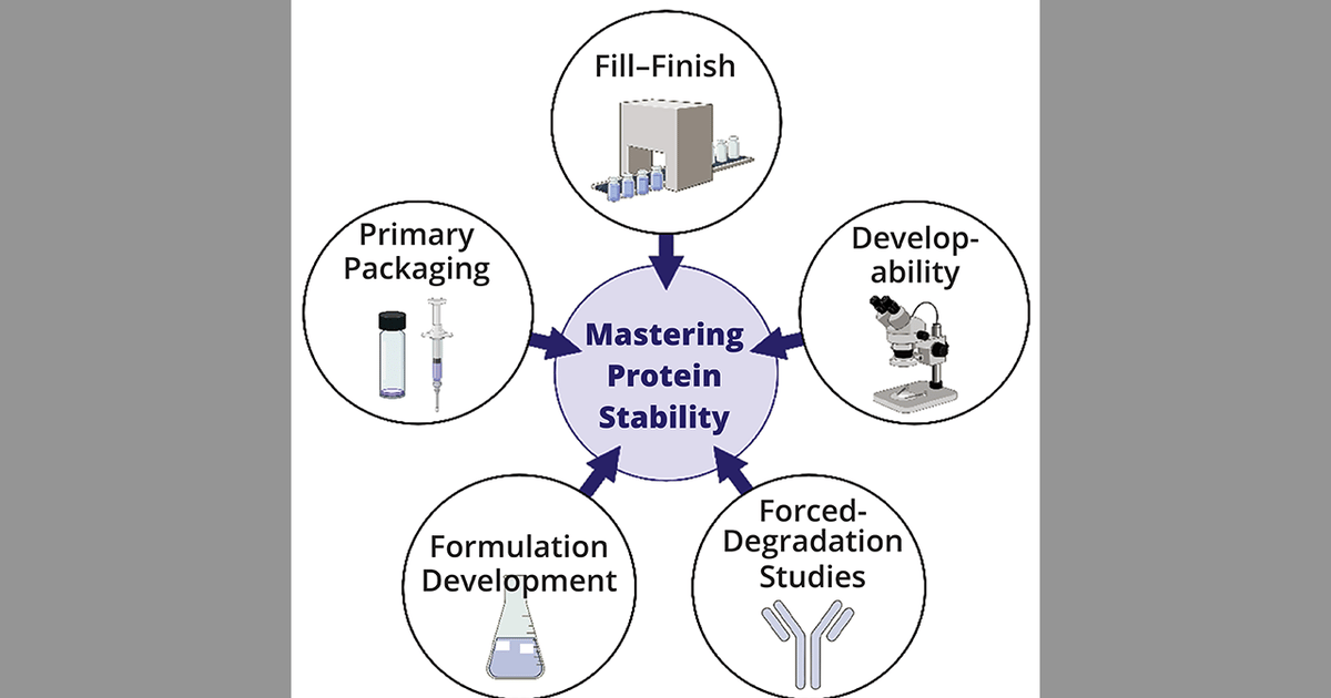 Mastering Protein Stability in Injectable Biopharmaceuticals