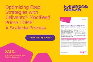 Optimizing Feed Strategies with Cellvento® ModiFeed Prime Comp: A Scalable Process