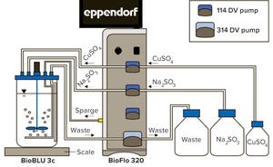 Dissolved Oxygen Control Tuning for Cell Culture Applications