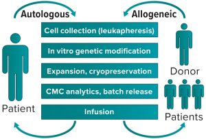 Allogeneic Cell Therapy Manufacture - BioProcess International