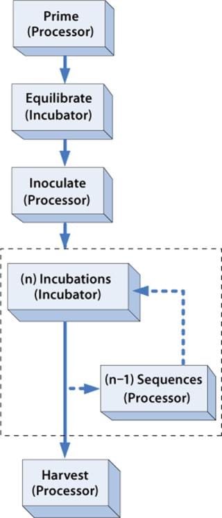 Cell Point Process Control Manufacturing Patient-Specific Cell Therapy Products