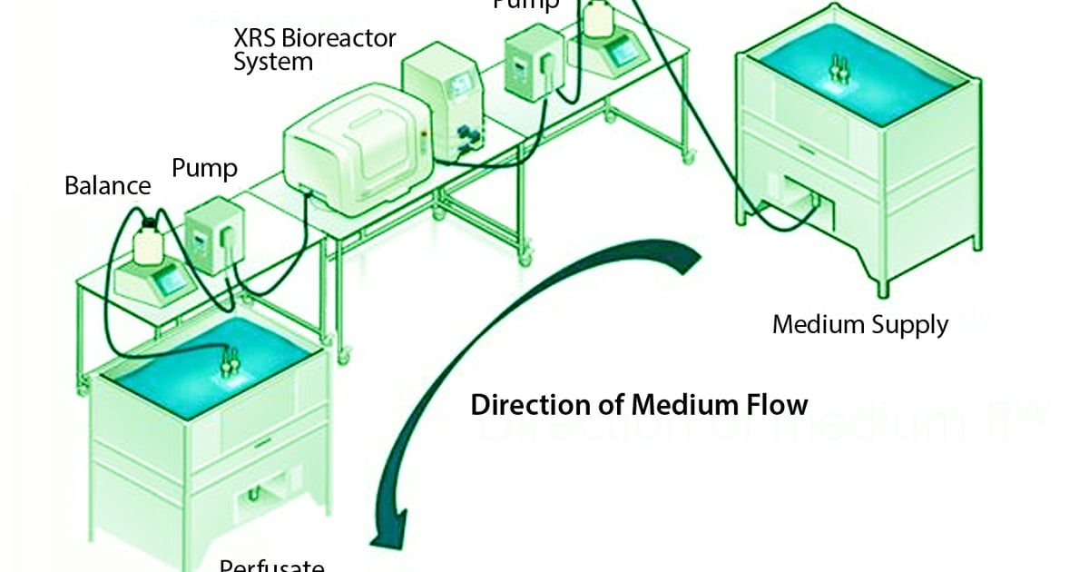Machine Perfusion Process A Look At Perfusion: The Upstream Continuous Process