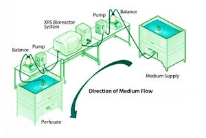 A Look At Perfusion: The Upstream Continuous Process