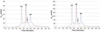 Purifying Common Light-Chain Bispecific Antibodies