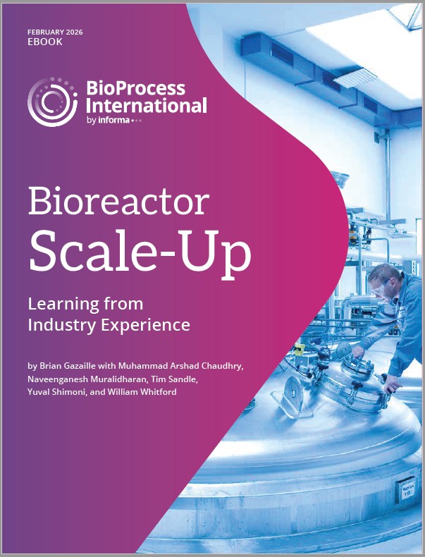 Bioreactor Scale-Up: Learning from Industry Experience