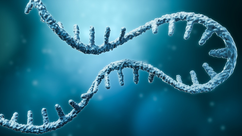 Lonza boosts mRNA services through Touchlight collaboration