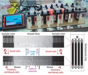 integration of four deterministic lateral displacement (DLD) sorting arrays in parallel on a single chip