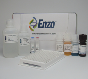 enzo-kit-300x271.png