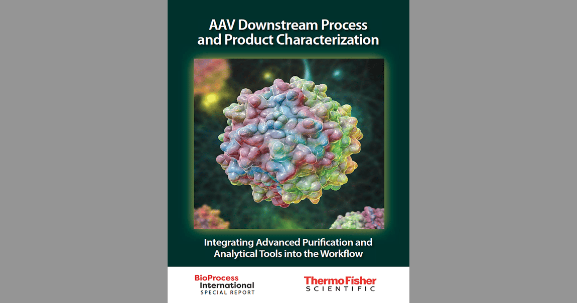 Efficient AAV Purification Tools - BioProcess International