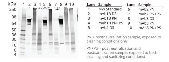 22-11-12-Sharnez-F4.jpg 22-11-12-Sharnez-F4.jpg