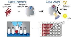 Accelerating Biologic and Biosimilar Drug Development: Ready-to-Use, Cell-Based Assays for  Potency and Lot-Release Testing