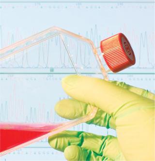 Standards for Ancillary Materials Used in Cell- and Tissue-Based Therapies