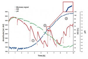 New Device for Biomass Monitoring in Shake Flask Culture