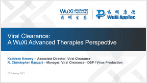 Viral Clearance: A WuXi Advanced Therapies Perspective