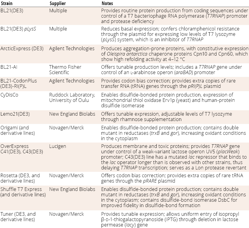 Screen More To Learn More: Escherichia coli Strain Development