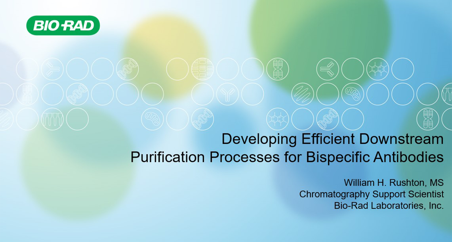 Developing Efficient Downstream Purification Processes for Bispecific