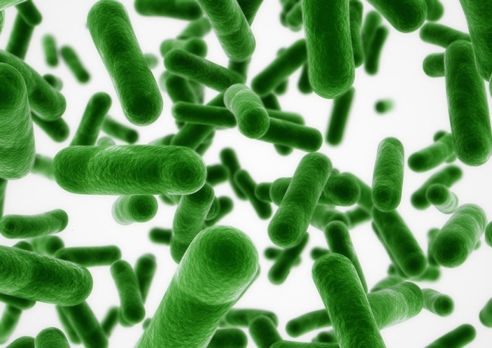 WuXi Biologics establishes microbial fermentation in latest expansion