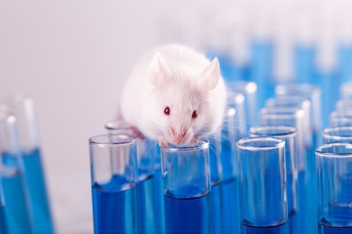Horizon Discovery divests animal model biz to focus on cell lines