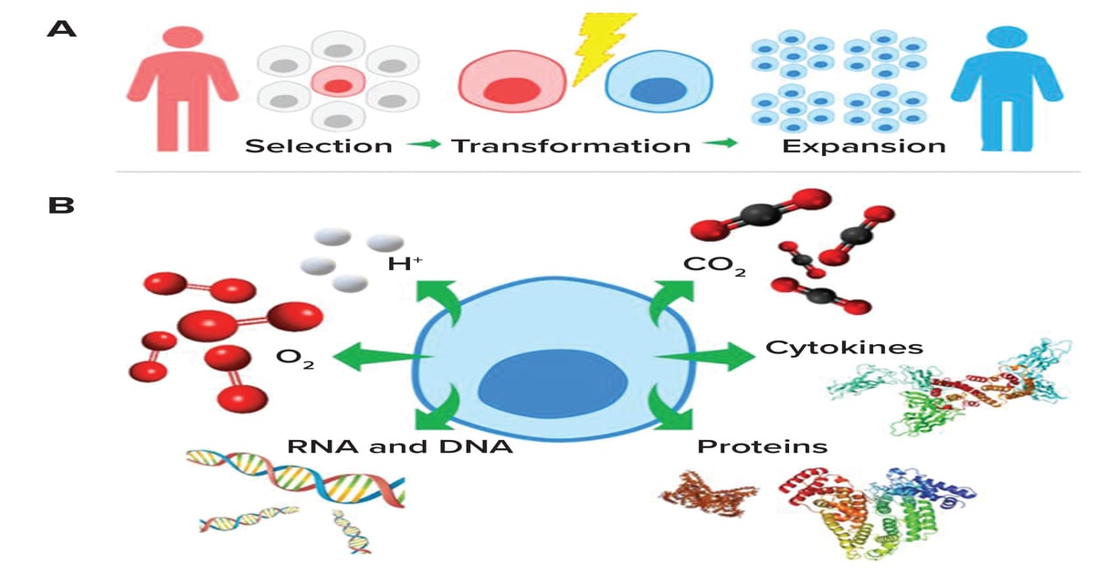 Fluorescent Nanosensors: Real-Time Biochemical Measurement for Cell and ...