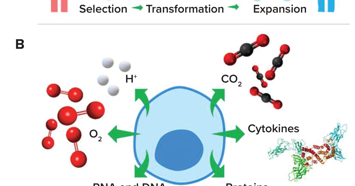 Fluorescent Nanosensors: Real-Time Biochemical Measurement for Cell and ...